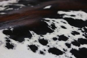 ultimate-skin-buying-guide