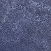 shiduli-navy