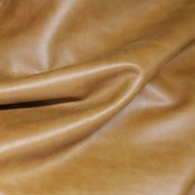 wild-horse-caramel